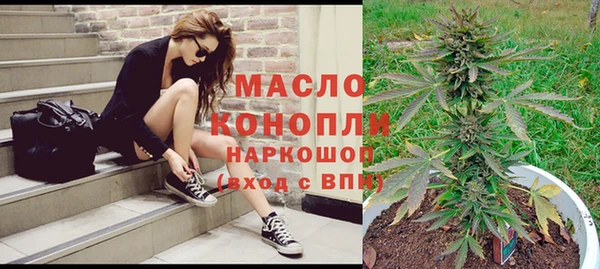 молекула духа Арсеньев