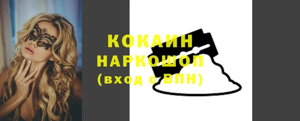молекула духа Арсеньев