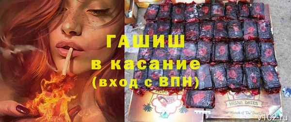 молекула духа Арсеньев