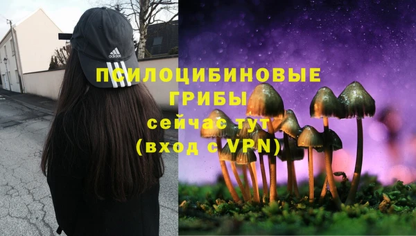 гашик Аркадак