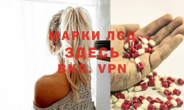 молекула духа Арсеньев