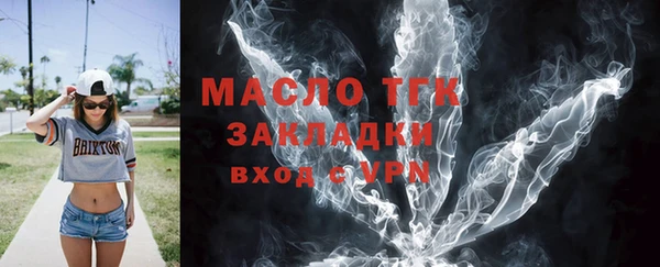 молекула духа Арсеньев